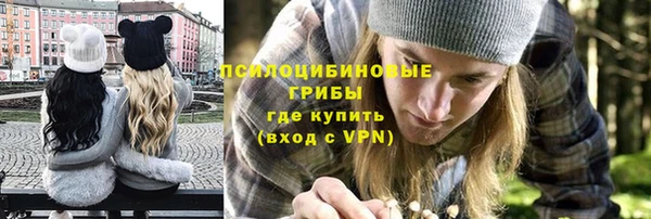 крисы Одинцово