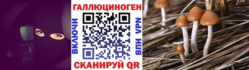 Галлюциногенные грибы прущие грибы  Байкальск 