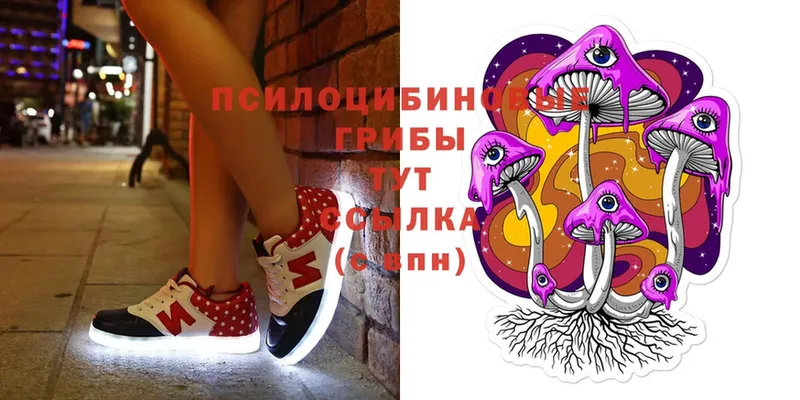 Псилоцибиновые грибы MAGIC MUSHROOMS  даркнет телеграм  Байкальск 